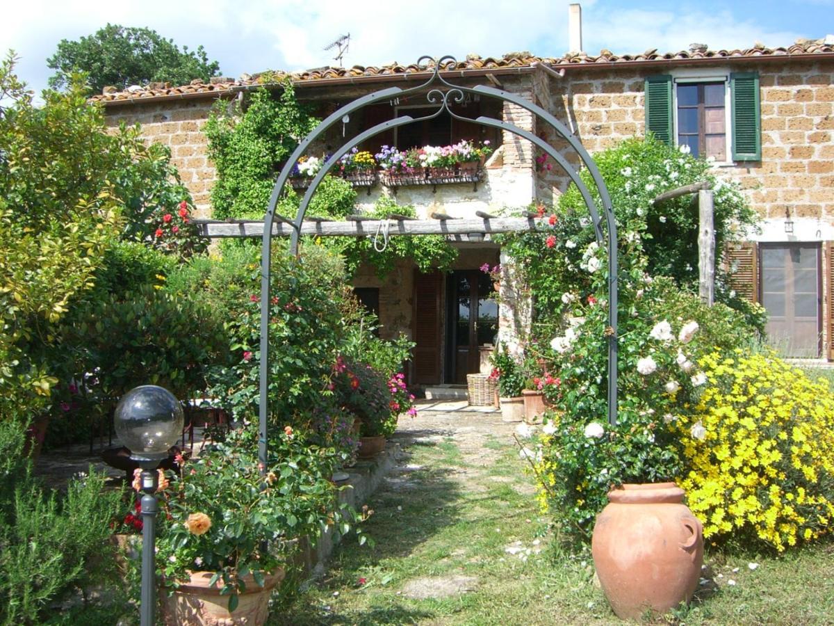Le Querciolaie Monte Cavallo - upper apartment Saturnia Extérieur photo