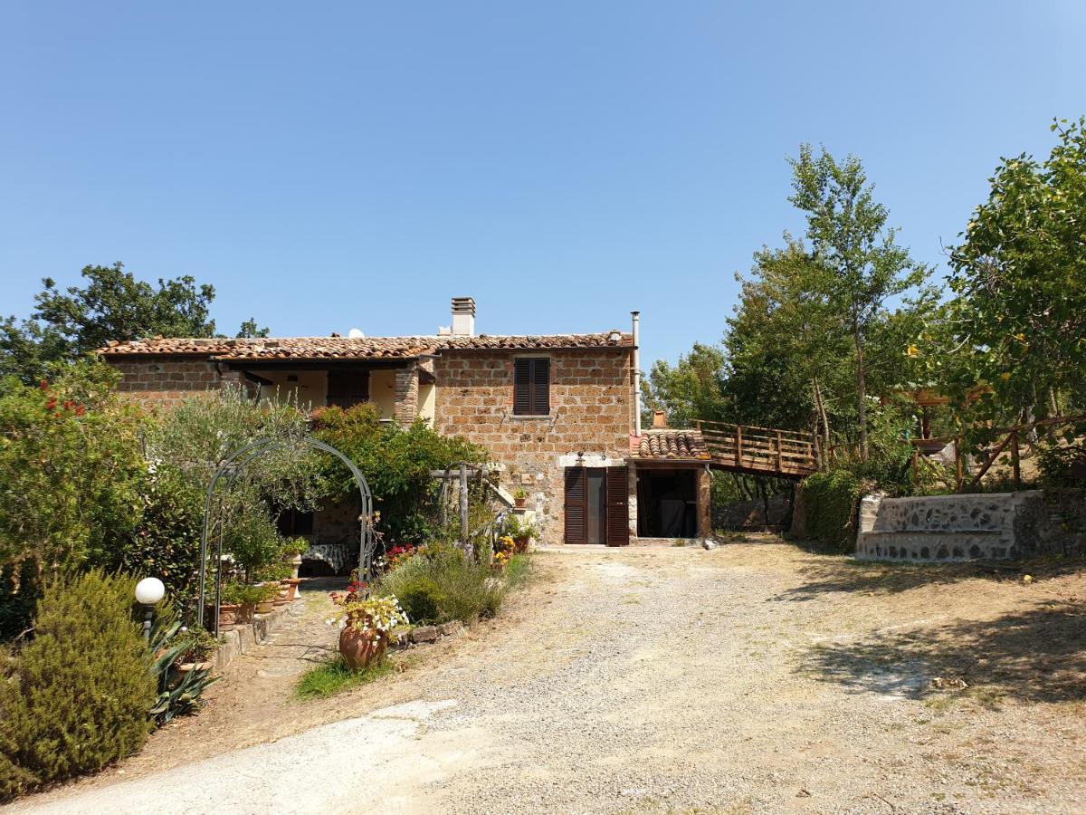 Le Querciolaie Monte Cavallo - upper apartment Saturnia Extérieur photo